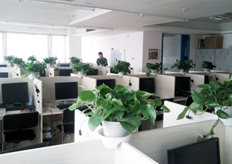 �����̻�ֲ������